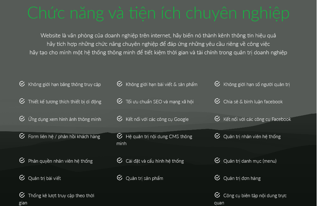 công ty thiết kế website trọn gói chuyên nghiệp, website trọn gói chuyên nghiệp tại đà nẵng